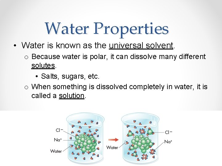 Water Properties • Water is known as the universal solvent. o Because water is