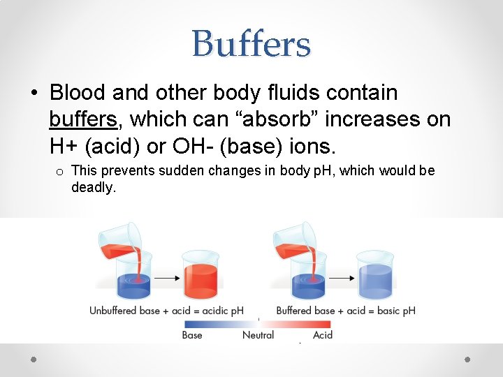 Buffers • Blood and other body fluids contain buffers, which can “absorb” increases on