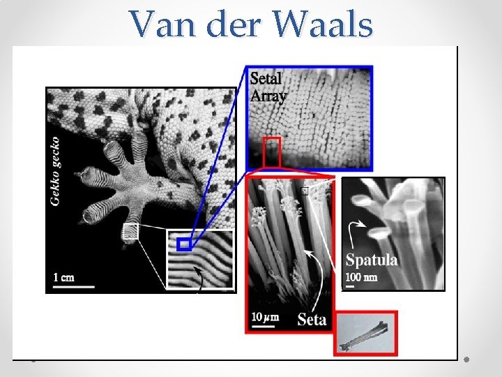 Van der Waals Interactions 