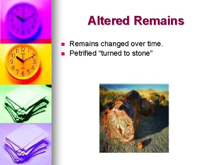 Altered Remains n n Remains changed over time. Petrified “turned to stone” 