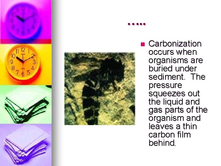 …. . n Carbonization occurs when organisms are buried under sediment. The pressure squeezes