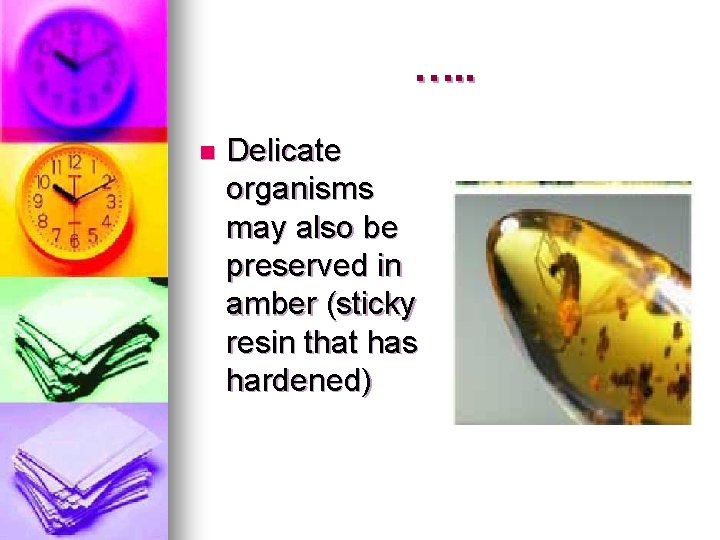 …. . n Delicate organisms may also be preserved in amber (sticky resin that