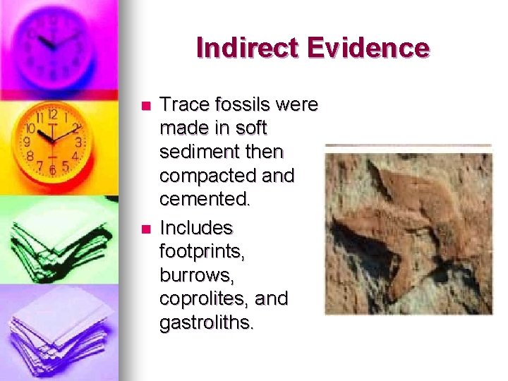 Indirect Evidence n n Trace fossils were made in soft sediment then compacted and