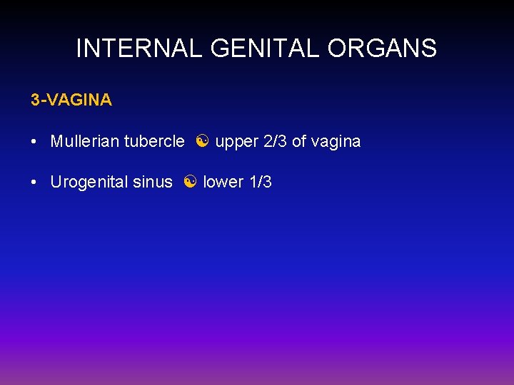 INTERNAL GENITAL ORGANS 3 -VAGINA • Mullerian tubercle upper 2/3 of vagina • Urogenital