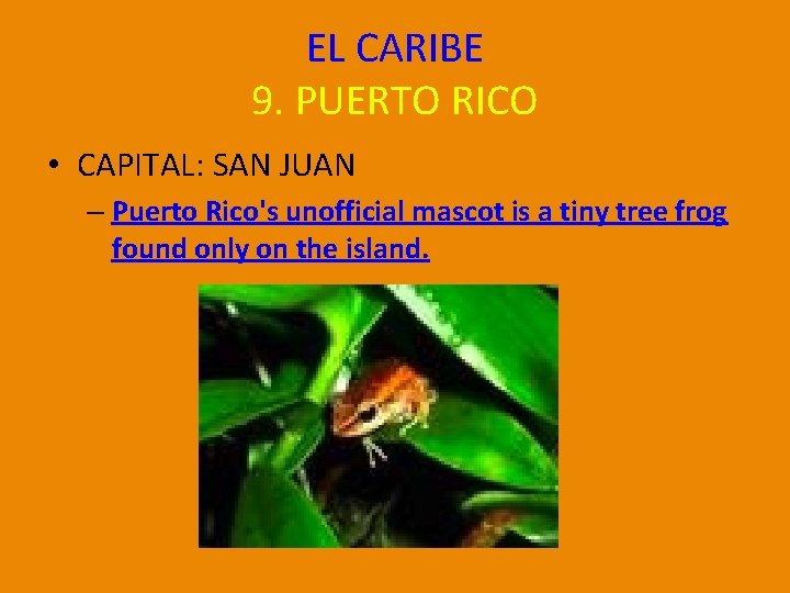 EL CARIBE 9. PUERTO RICO • CAPITAL: SAN JUAN – Puerto Rico's unofficial mascot