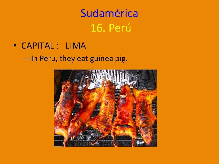 Sudamérica 16. Perú • CAPITAL : LIMA – In Peru, they eat guinea pig.