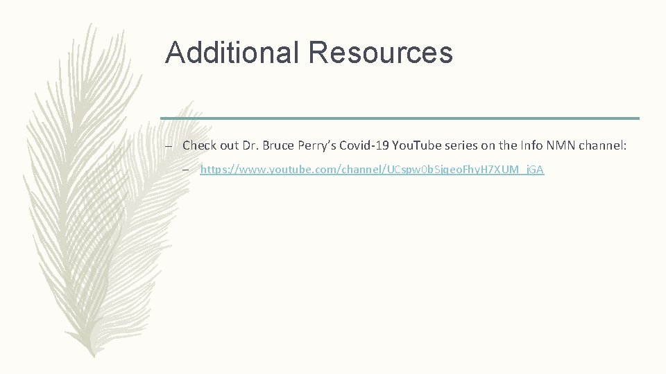 Additional Resources – Check out Dr. Bruce Perry’s Covid-19 You. Tube series on the