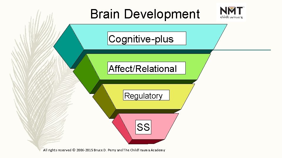 Brain Development Cognitive-plus Affect/Relational Regulatory SS All rights reserved © 2006 -2015 Bruce D.