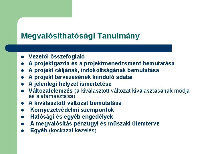 Megvalósíthatósági Tanulmány l l l Vezetői összefoglaló A projektgazda és a projektmenedzsment bemutatása A