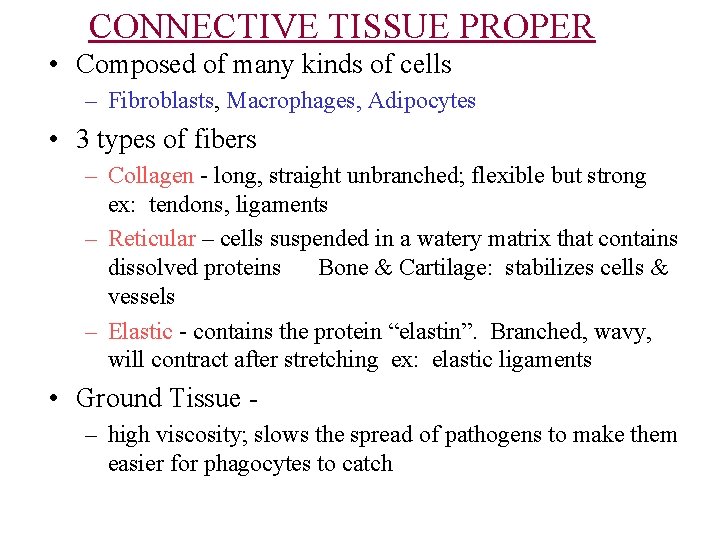 CONNECTIVE TISSUE PROPER • Composed of many kinds of cells – Fibroblasts, Macrophages, Adipocytes