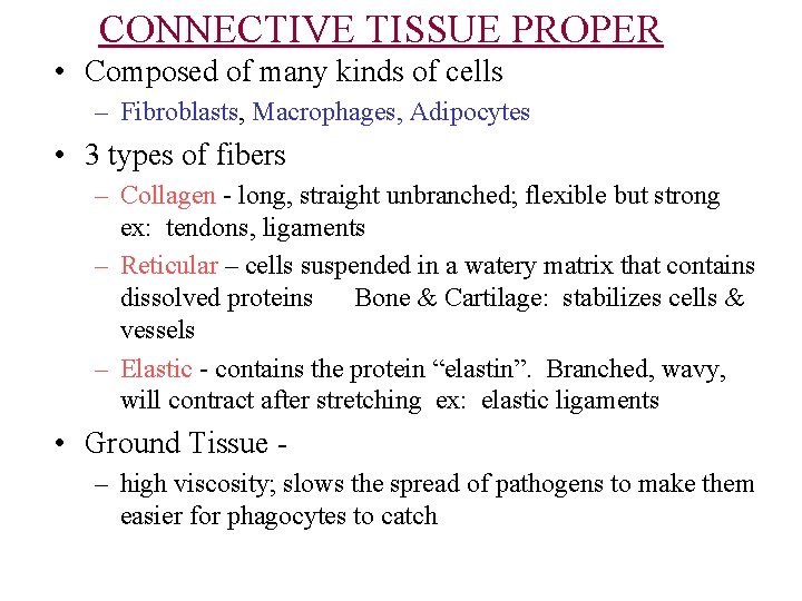 CONNECTIVE TISSUE PROPER • Composed of many kinds of cells – Fibroblasts, Macrophages, Adipocytes CONNECTIVE TISSUE PROPER • Composed of many kinds of cells – Fibroblasts, Macrophages, Adipocytes