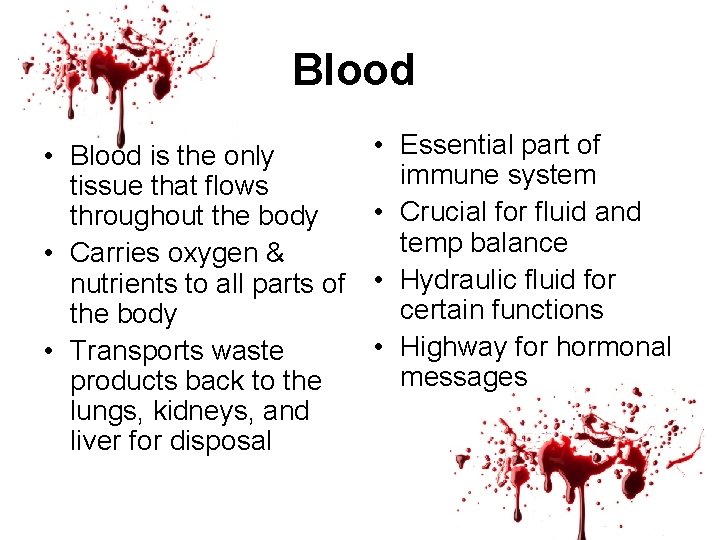 Blood • Blood is the only tissue that flows throughout the body • Carries