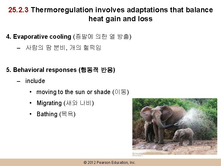 25. 2. 3 Thermoregulation involves adaptations that balance heat gain and loss 4. Evaporative
