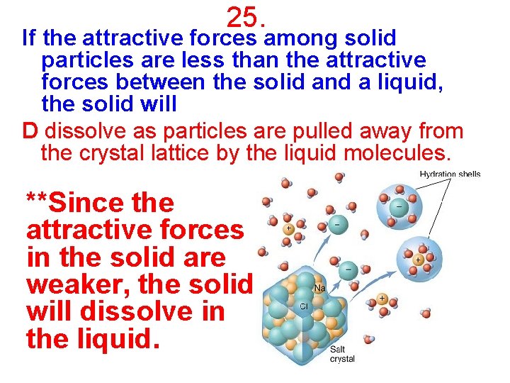 25. If the attractive forces among solid particles are less than the attractive forces