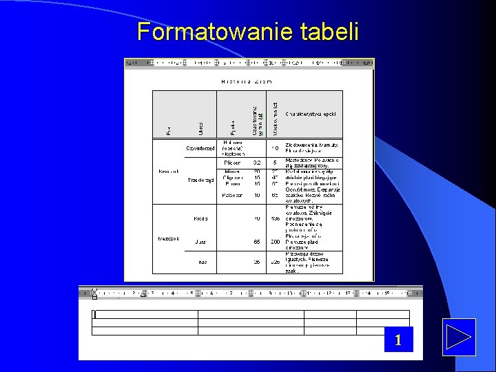 Formatowanie tabeli 1 