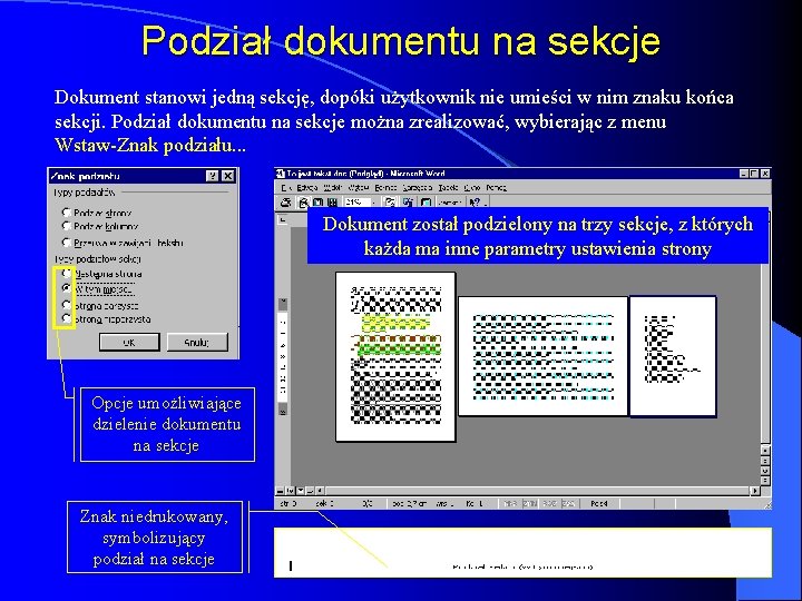 Podział dokumentu na sekcje Dokument stanowi jedną sekcję, dopóki użytkownik nie umieści w nim