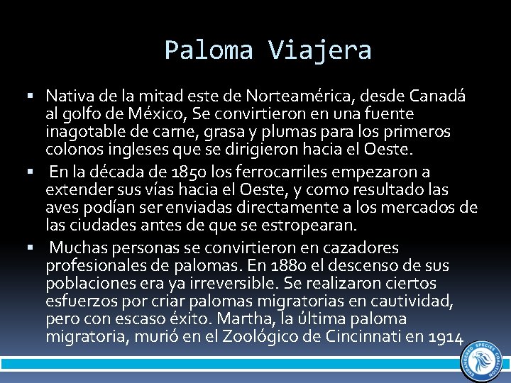 Paloma Viajera Nativa de la mitad este de Norteamérica, desde Canadá al golfo de