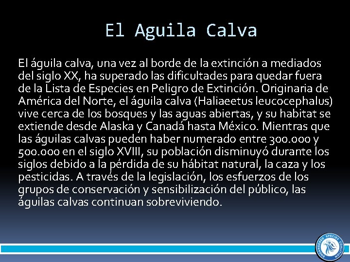 El Aguila Calva El águila calva, una vez al borde de la extinción a