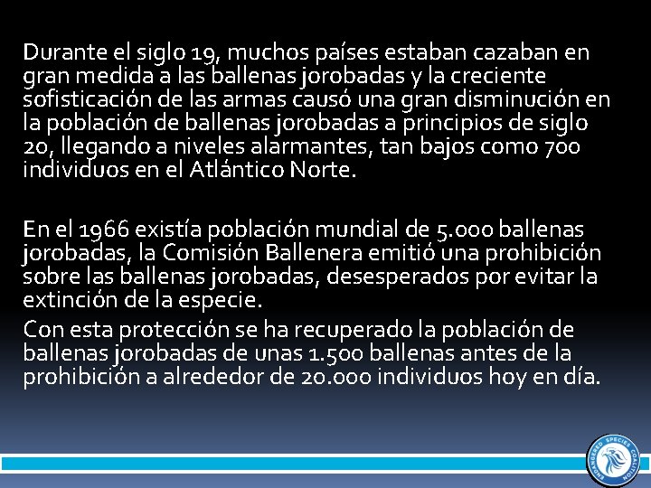 Durante el siglo 19, muchos países estaban cazaban en gran medida a las ballenas