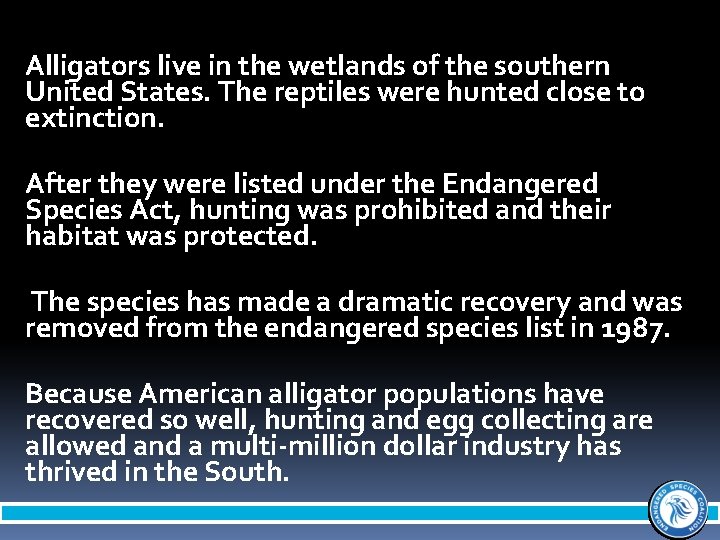 Alligators live in the wetlands of the southern United States. The reptiles were hunted