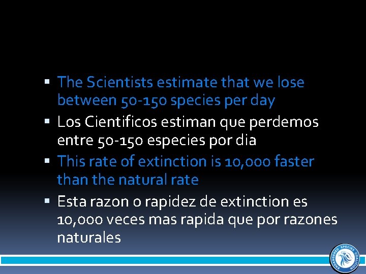  The Scientists estimate that we lose between 50 -150 species per day Los