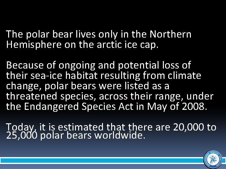 The polar bear lives only in the Northern Hemisphere on the arctic ice cap.