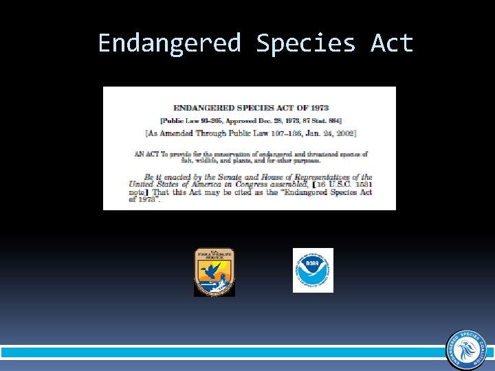 Endangered Species Act 