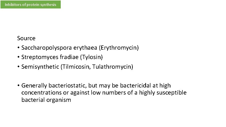 Inhibitors of protein synthesis Source • Saccharopolyspora erythaea (Erythromycin) • Streptomyces fradiae (Tylosin) •