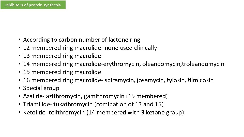 Inhibitors of protein synthesis • • • According to carbon number of lactone ring