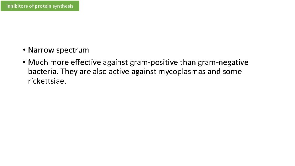 Inhibitors of protein synthesis • Narrow spectrum • Much more effective against gram-positive than