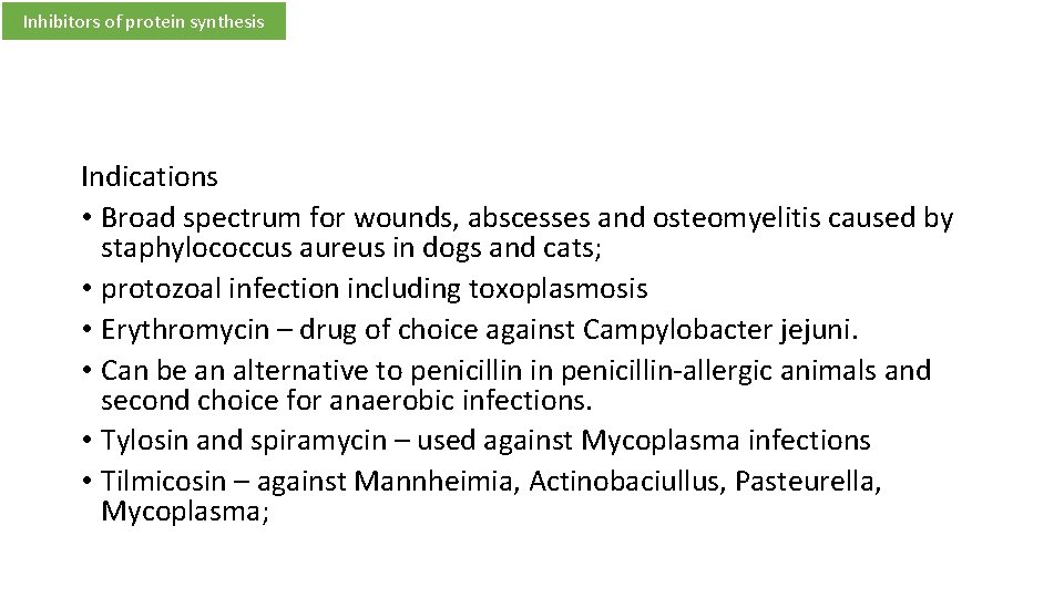 Inhibitors of protein synthesis Indications • Broad spectrum for wounds, abscesses and osteomyelitis caused