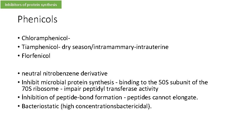 Inhibitors of protein synthesis Phenicols • Chloramphenicol • Tiamphenicol- dry season/intramammary-intrauterine • Florfenicol •