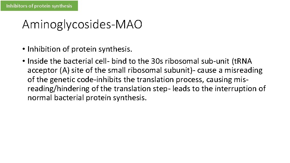 Inhibitors of protein synthesis Aminoglycosides-MAO • Inhibition of protein synthesis. • Inside the bacterial