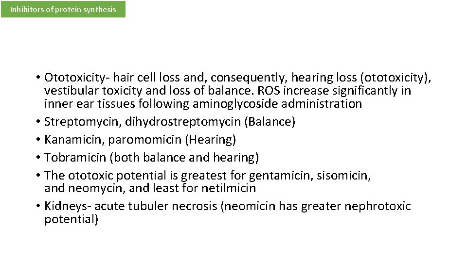 Inhibitors of protein synthesis • Ototoxicity- hair cell loss and, consequently, hearing loss (ototoxicity),