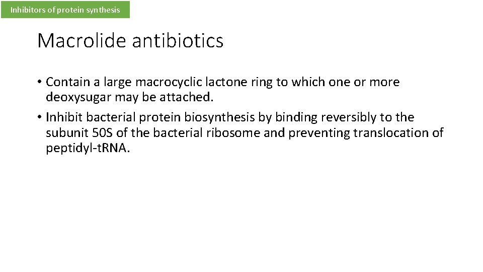 Inhibitors of protein synthesis Macrolide antibiotics • Contain a large macrocyclic lactone ring to