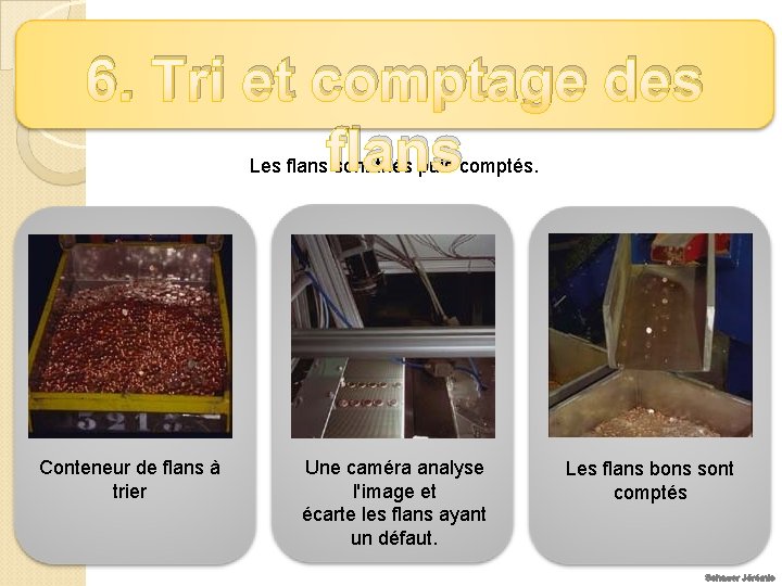 6. Tri et comptage des flans Les flans sont triés puis comptés. Conteneur de