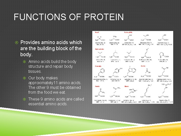 FUNCTIONS OF PROTEIN Provides amino acids which are the building block of the body.