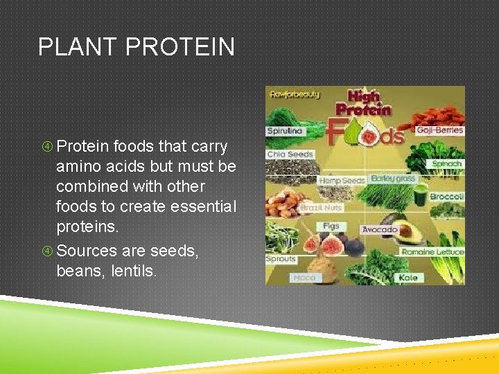 PLANT PROTEIN Protein foods that carry amino acids but must be combined with other