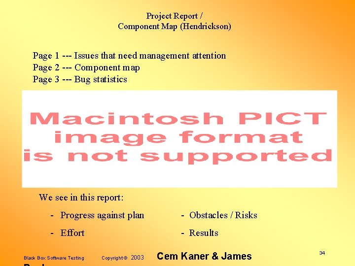 Project Report / Component Map (Hendrickson) Page 1 --- Issues that need management attention