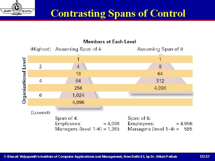 Contrasting Spans of Control © Bharati Vidyapeeth’s Institute of Computer Applications and Management, New