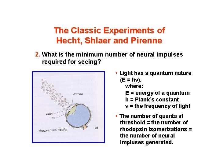 The Classic Experiments of Hecht, Shlaer and Pirenne 2. What is the minimum number