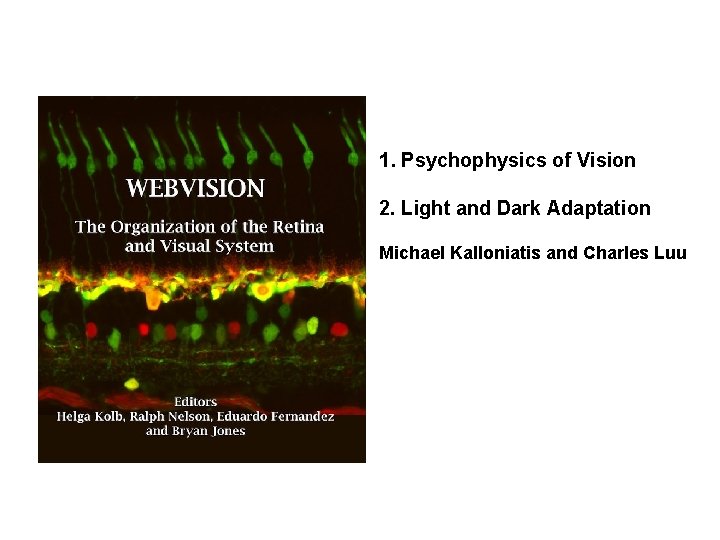 1. Psychophysics of Vision 2. Light and Dark Adaptation Michael Kalloniatis and Charles Luu