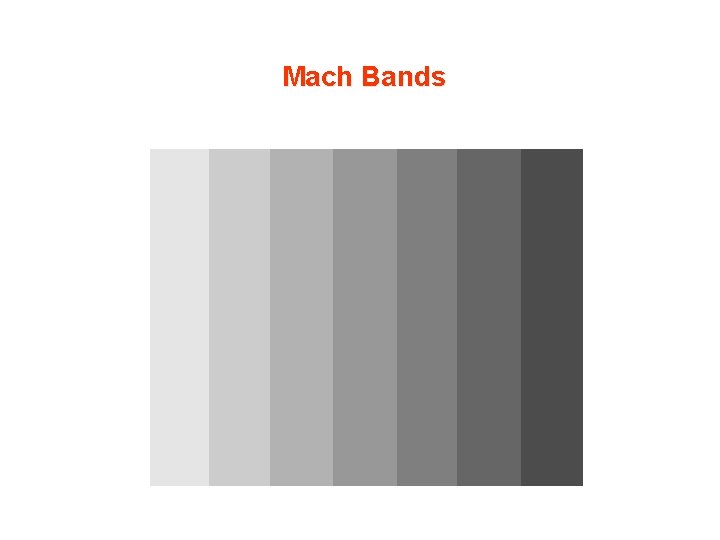 Mach Bands 