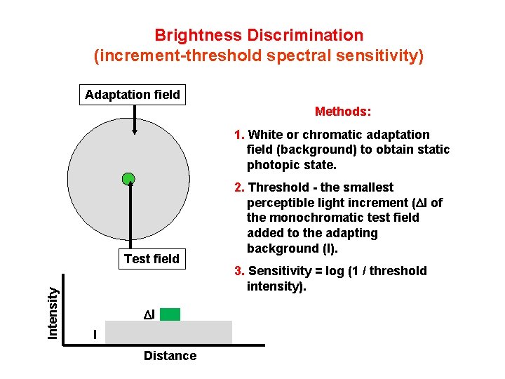 Brightness Discrimination (increment-threshold spectral sensitivity) Adaptation field Methods: 1. White or chromatic adaptation field