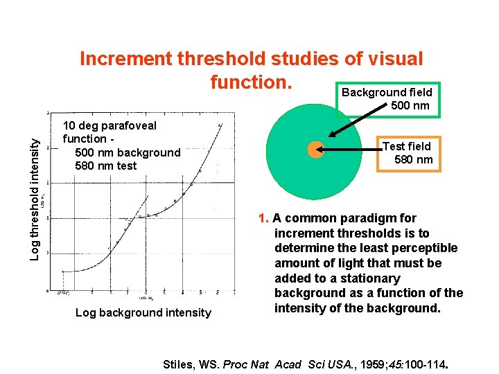 Increment threshold studies of visual function. Background field Log threshold intensity 500 nm 10