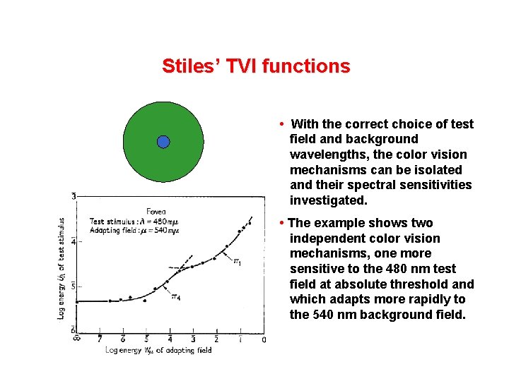 Stiles’ TVI functions • With the correct choice of test field and background wavelengths,