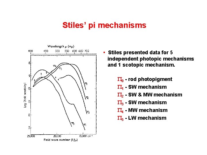 Stiles’ pi mechanisms • Stiles presented data for 5 independent photopic mechanisms and 1