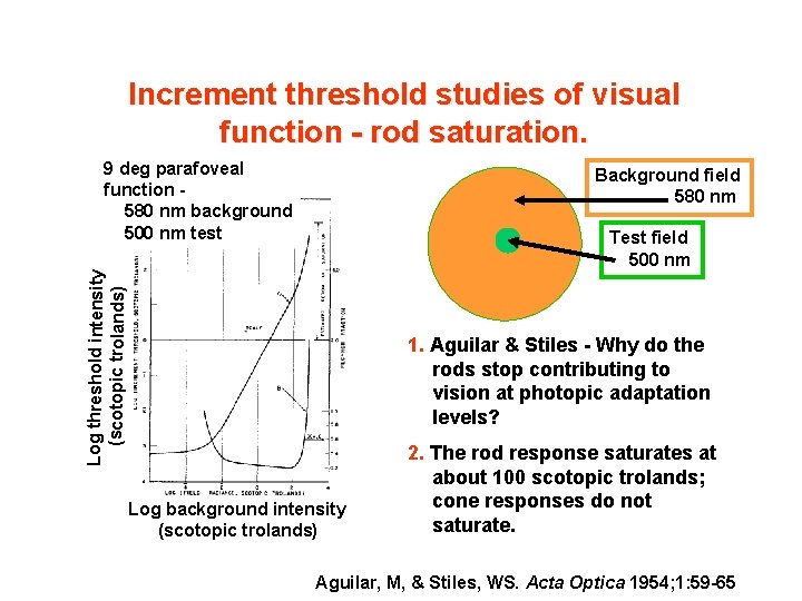 Increment threshold studies of visual function - rod saturation. 9 deg parafoveal function 580