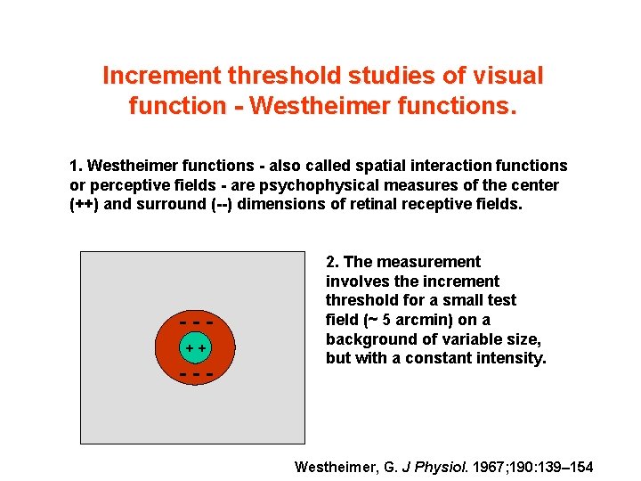 Increment threshold studies of visual function - Westheimer functions. 1. Westheimer functions - also