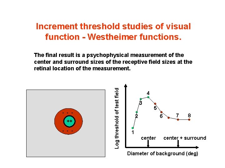 Increment threshold studies of visual function - Westheimer functions. - - ++ - -